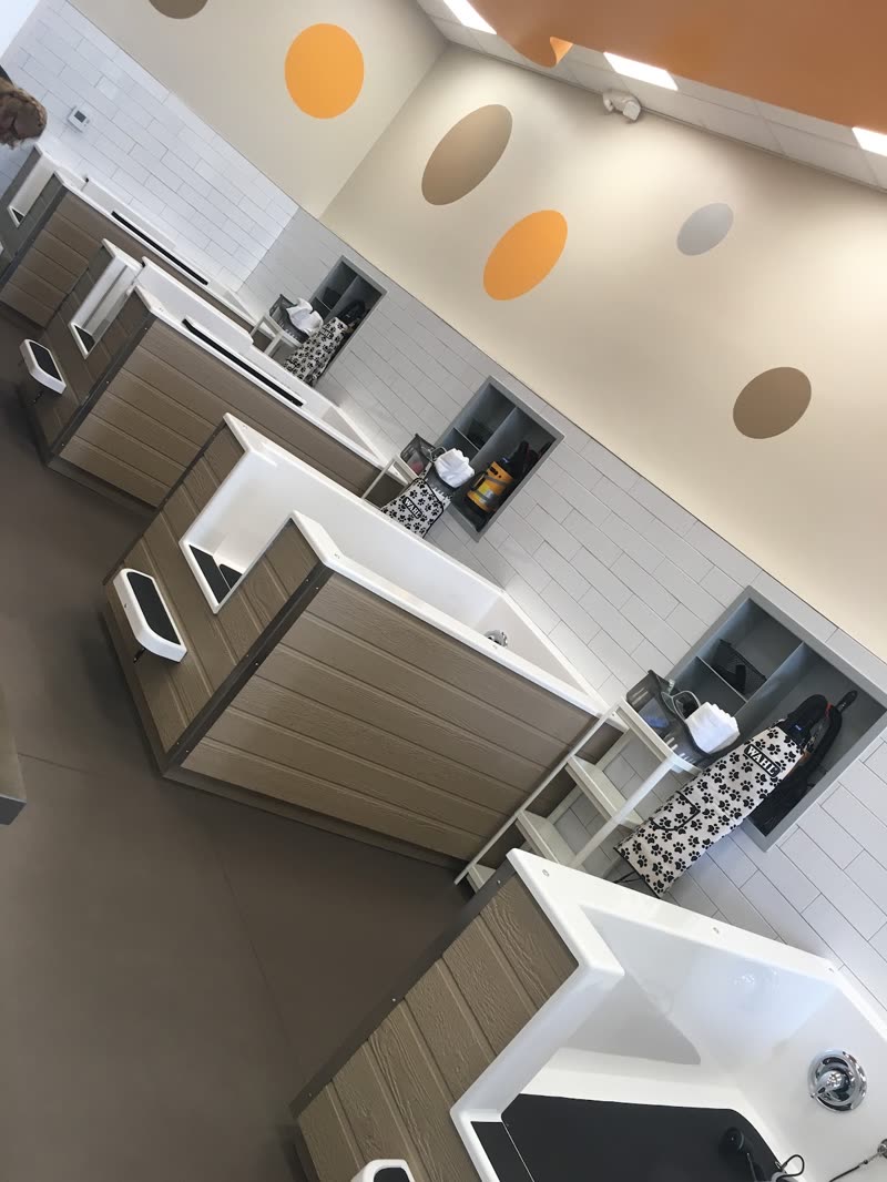 The self-serve wash bays with raised tubs and the spotted accent wall